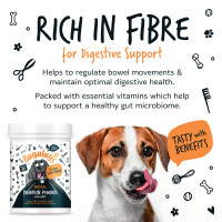 Bugalugs Kürbispulver-Nahrungsergänzungsmittel 100 % natürlich für Hunde