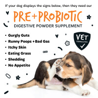 Bugalugs Pre- & Probiotic Verdauungshilfe 80 g – Immuncharge für Hunde