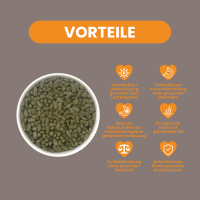 Burgess Excel Indoor Hasenfutter – Hochwertiges Alleinfuttermittel für Nager 1,75KG