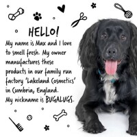 Bugalugs Hundeshampoo Baby Fresh 500 ml Vegan