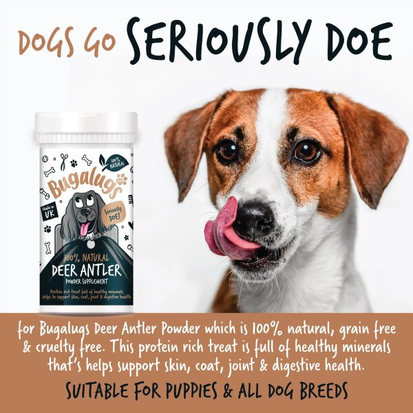 Bugalugs Hirschgeweihpulver für Haut Fell Gelenke und Verdauung 70g