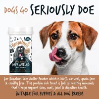 Bugalugs Hirschgeweihpulver für Haut Fell Gelenke...