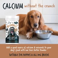 Bugalugs Hirschgeweihpulver für Haut Fell Gelenke...