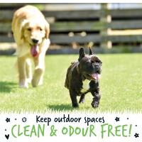 Bugalugs Tierfleck- und Geruchsentferner Zwingerreiniger Fliesen Klo