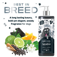 Bugalugs bestes Hunde Pflegeshampoo mit Aktivkohle...