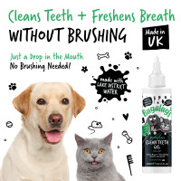 Bugalugs Dental Care Clean Teeth Gel 200ml – Frischer Minzgeschmack für Hunde und Katzen