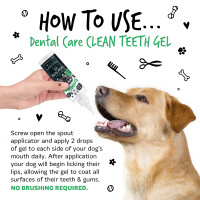 Bugalugs Dental Care Clean Teeth Gel 200ml – Frischer Minzgeschmack für Hunde und Katzen