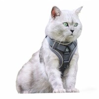 Verstellbares Hunde-Geschirr-Set aus atmungsaktivem Mesh...