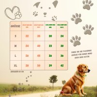 Verstellbares Hunde-Geschirr-Set aus atmungsaktivem Mesh mit Leine (4 Größen)