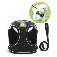 Atmungsaktives Hundegeschirr mit Leine – Komfort...